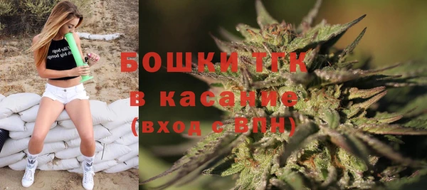 mdpv Снежинск