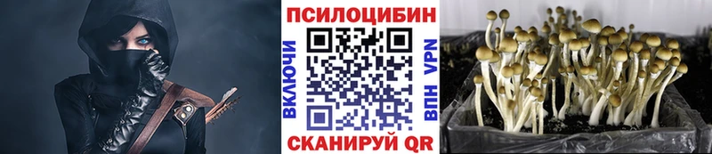 наркотики  Гдов  мориарти наркотические препараты  Псилоцибиновые грибы мицелий 